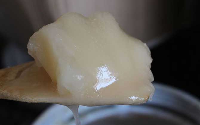 蜂蜜凝固后是什么顏色(蜂蜜凝固成白色像豬油是真的嗎) 蜂蜜凝固后是什么顏色(蜂蜜凝固成白色像豬油是真的嗎)