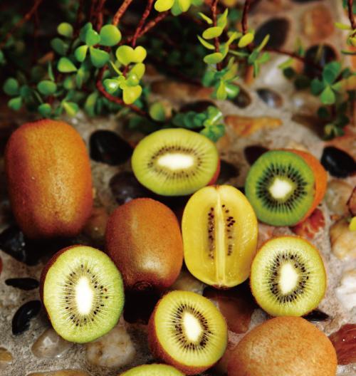 奇異果是什么季節(jié)的水果(獼猴桃和奇異果的區(qū)別) 奇異果是什么季節(jié)的水果(獼猴桃和奇異果的區(qū)別)