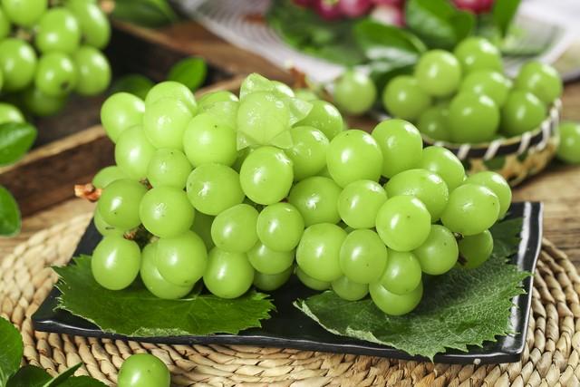 葡萄和提子的區別在哪里 葡萄和提子的區別在哪里