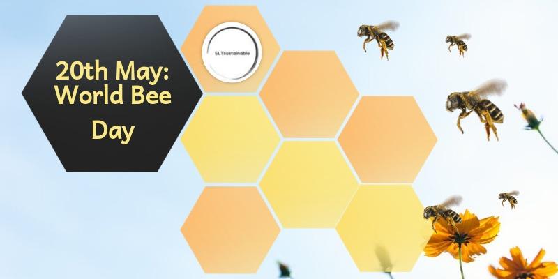 蜜蜂為什么老是圍著我轉(zhuǎn)(蜜蜂圍著轉(zhuǎn)的意思) 蜜蜂為什么老是圍著我轉(zhuǎn)(蜜蜂圍著轉(zhuǎn)的意思)