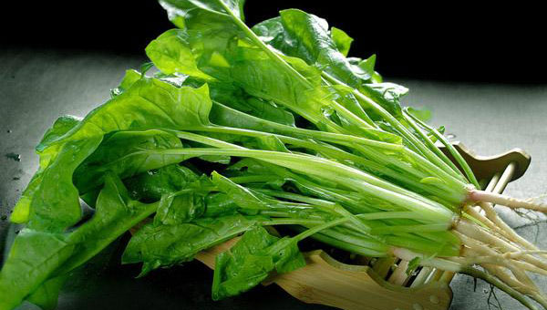 菠菜是什么季節(jié)的應(yīng)季蔬菜(菠菜種植與養(yǎng)護) 菠菜是什么季節(jié)的應(yīng)季蔬菜(菠菜種植與養(yǎng)護)