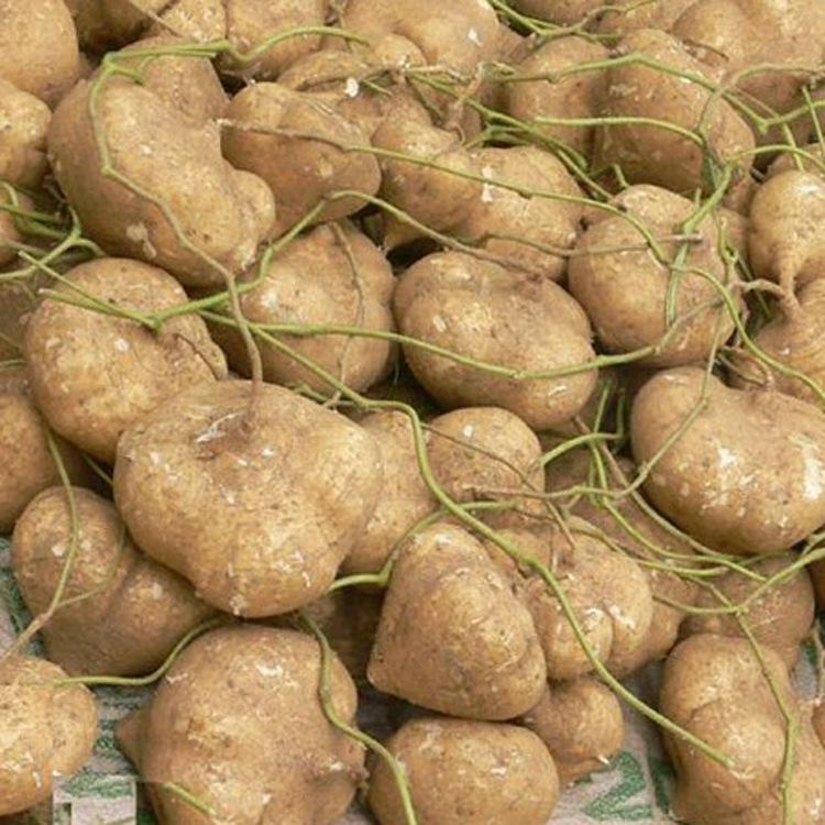 冬天成熟的水果有哪些(冬季生長的6種應季成熟水果) 冬天成熟的水果有哪些(冬季生長的6種應季成熟水果)