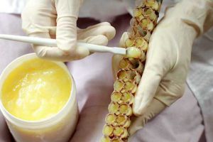 蜂王漿的作用與功效及食用方法