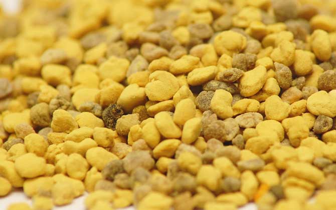 蜂花粉的作用與功效有哪些？經常吃些蜂花粉，這7個好處跑不了！