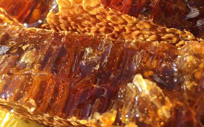 蜂巢酒的禁忌有哪些？除了不能過量飲用，還要警惕發(fā)生過敏反應(yīng)！