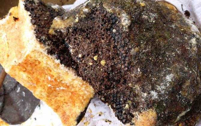 石蜜是什么東西？和蜂蜜沒有任何關(guān)系，騙子常用來欺騙消費者！