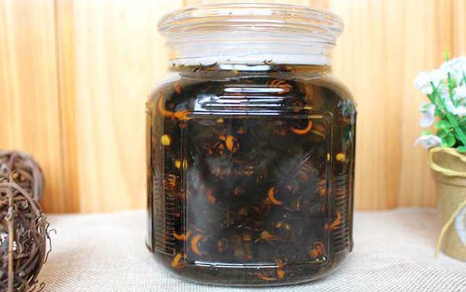 虎頭蜂酒真的能壯陽嗎？有一定的輔助效果，但飲用不當易中毒！