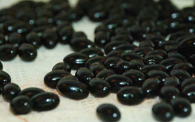 吃蜂膠也得癌是怎么回事？蜂膠不能預(yù)防癌癥，但能提高免疫力！