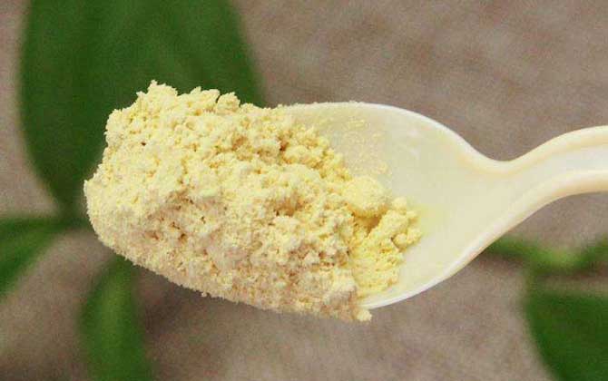 吃松花粉能治肝病嗎？