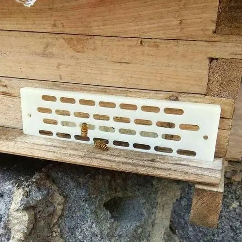 防逃片可以長(zhǎng)期使用嗎（防逃片能不能一直裝著）