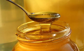 天山雪蜜和土蜂蜜的對(duì)比（雪蜜和土蜂蜜哪個(gè)好））