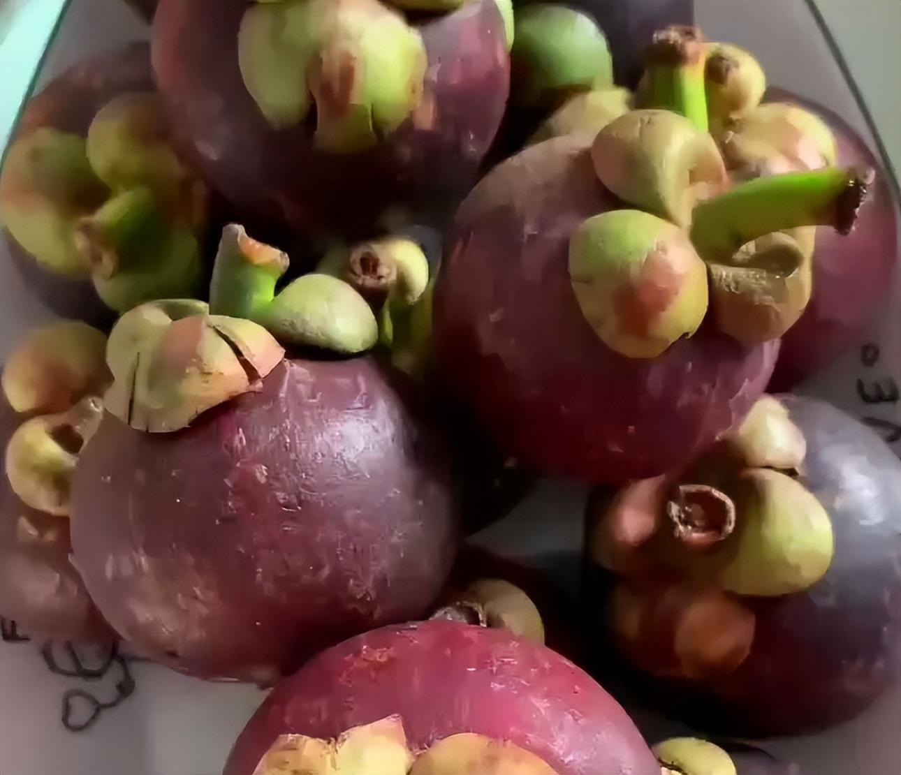 山竹長(zhǎng)在土里還是樹上（山竹生長(zhǎng)的地方和栽培技術(shù)）